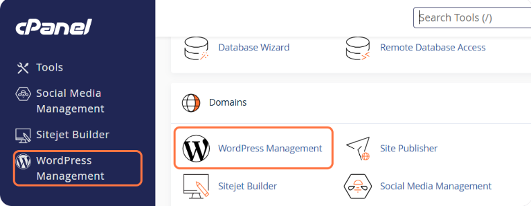 Wordpress Management